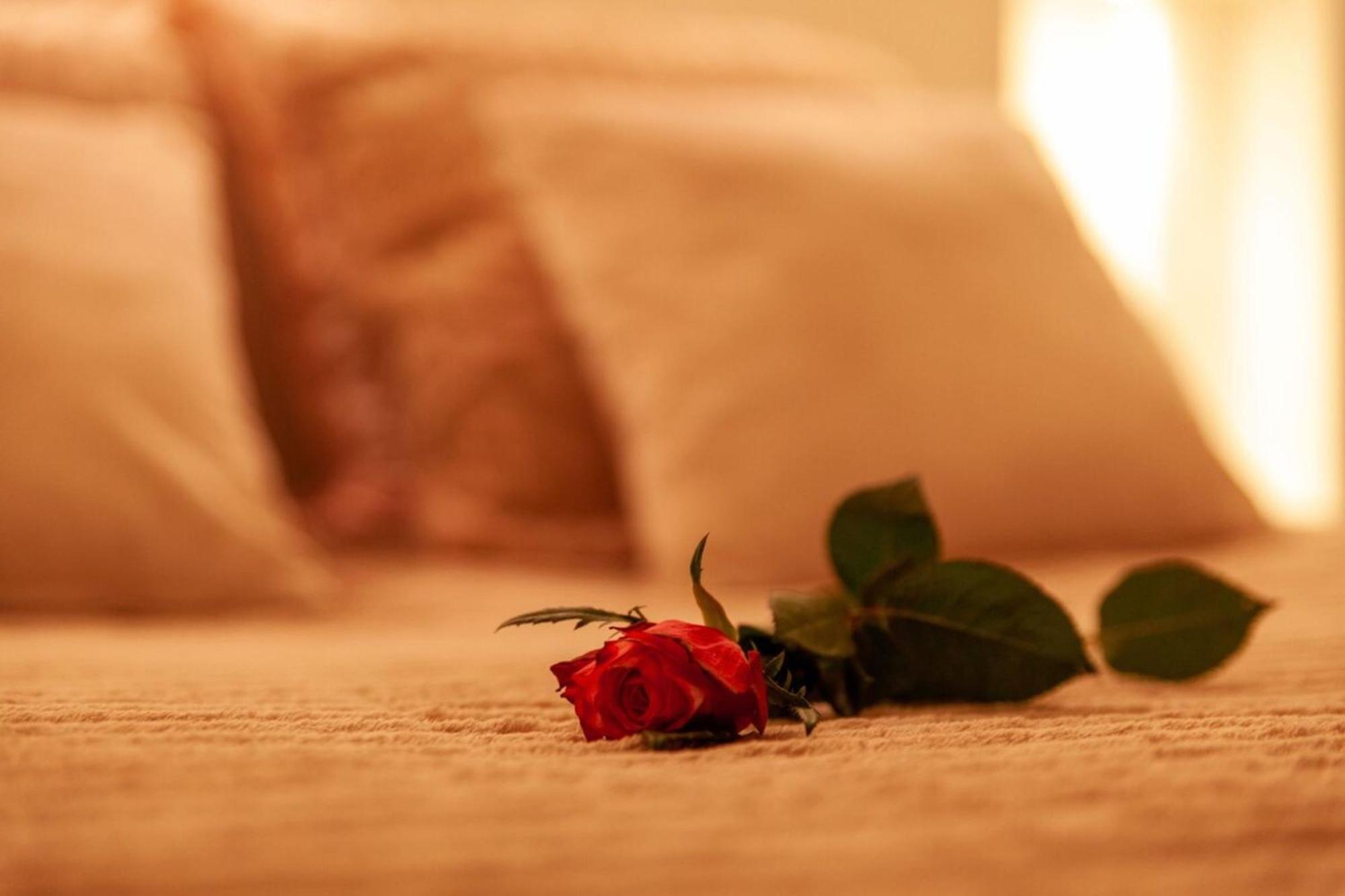 Love Room Perpignan Jacuzzi & Ambiance Romantique Villeneuve-de-la-Raho Exterior photo
